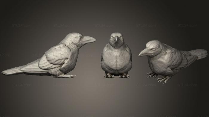 Bird figurines (Sitting Crow, STKB_0188) 3D models for cnc